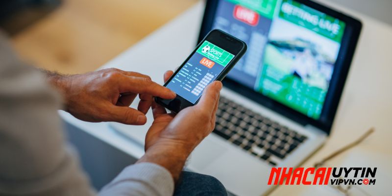 Cấp độ Master - Đại lý nhỏ lẻ