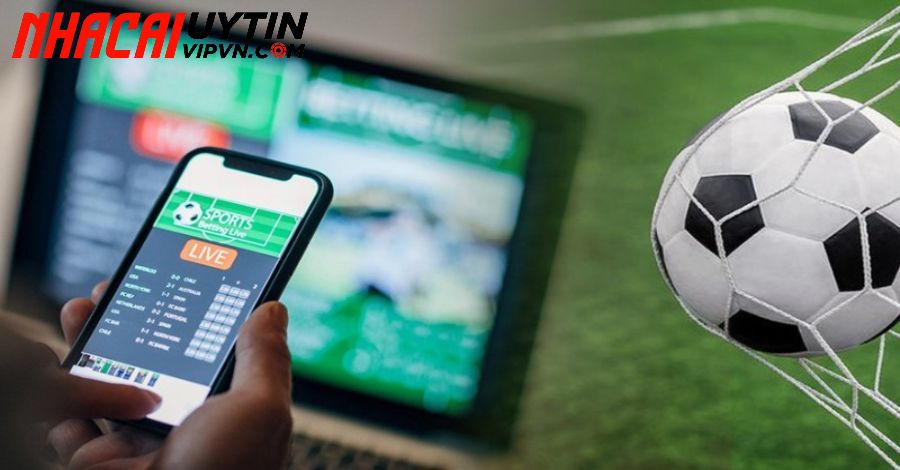 Cách phòng tránh web cá cược bóng đá lừa đảo
