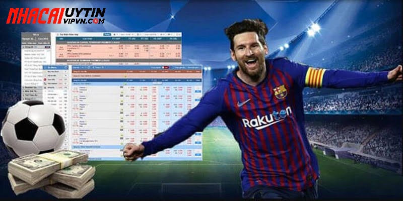 Đặc điểm nổi trội của những website này